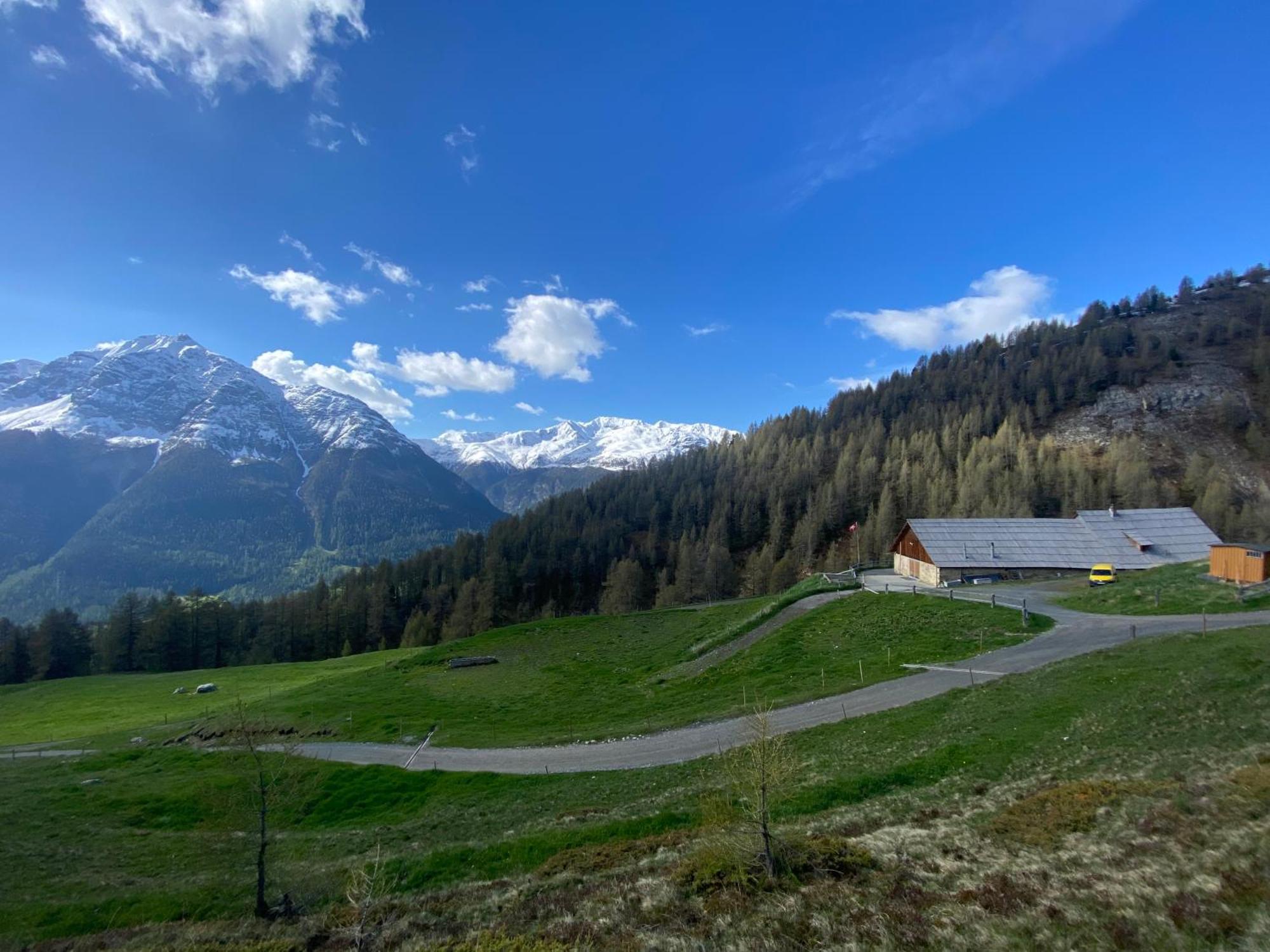Bed and Breakfast Alp Es-Cha Dadour Madulain Экстерьер фото